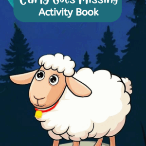 Curly Goes Missing - Activity Book